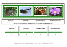 Setzleiste-zusammengesetzte-Frühlingswörter 9.pdf